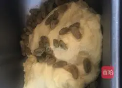 Illustration of how to make Jacques grape roll bread 5