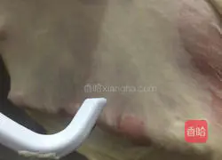 Fashionable Mom teaches you Illustration of how to make chive cheese bread 5