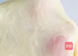 Milk Soft Toast Bread Recipe Illustration 5