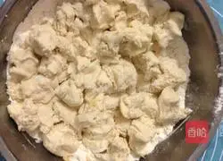 Illustration of how to grow coconut flower bread in the refrigerator 2