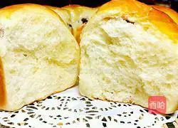 Cranberry bread recipe 10