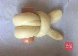 Rabbit Bread Recipe 8