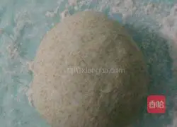 Whole wheat bread recipe 3