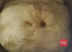 Mango pizza recipe 1