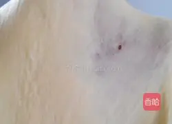 Crande Illustration of making berry flower-shaped bread 2