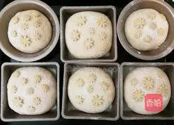 Whole wheat bread recipe 7