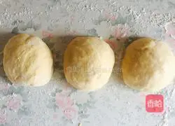 Cranberry Bread (Hand Kneaded Dough) Recipe Illustration 3