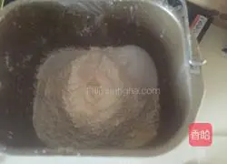 Whole wheat bread recipe 3