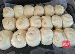 Honey Crisp Illustration of how to make bread 9