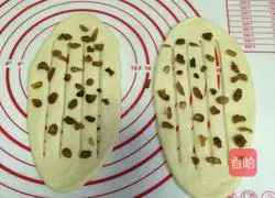 Illustration of how to make raisin rolls (medium type) 9