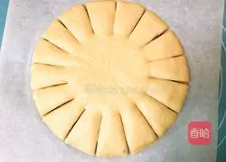 Fancy Bean Paste Bread - Sunflower Recipe Illustration 15