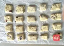 Cranberry Bread Recipe Illustration 17