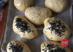 Yoghurt whole wheat bread recipe 6