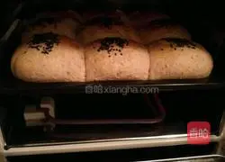 Whole Wheat Bread Whole wheat bread recipe 10