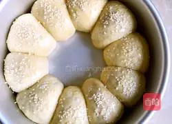 Illustration of how to make seaweed and meat floss bread 18