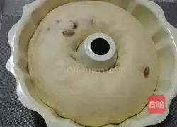 Whole wheat raisin bread recipe 6