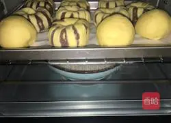 (common flour) red bean paste bread Illustration of practice 16