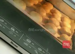 Illustration of making meat floss cake 14