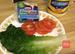 Illustration of how to make beef hamburgers 1