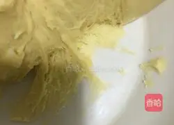 (Common flour) Bean paste bread recipe 7