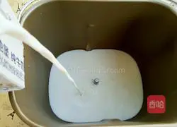 How to make bread machine yogurt Illustration 5