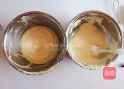 Watermelon Chiffon Cake Recipe Illustration 8