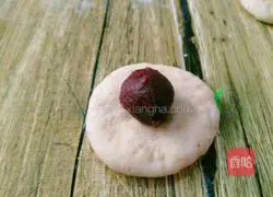 Whole wheat flower bread recipe 5