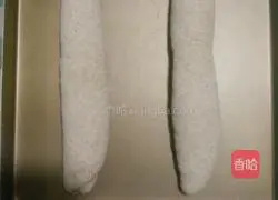 Whole wheat bread recipe 8