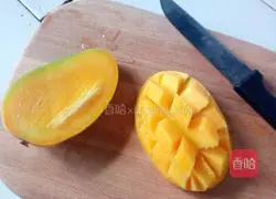 Mango Chocolate Mousse Recipe Illustration 10