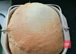 Whole wheat cheese bread recipe 7