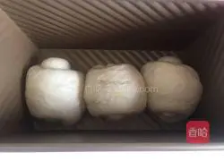 Yoghurt brown sugar toast recipe 13