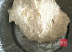 Whole wheat milk toast recipe illustration 6