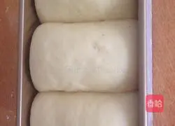 Illustration of how to make hotel toast 3