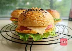 Illustration of how to make hamburger embryos (without mold version) 15