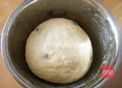 Panettoni Recipe Illustration 13