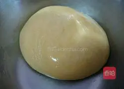 Cantonese five-nut mooncake recipe 2