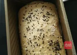 Cranberry coconut paste Illustration of making toast 14