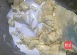 Cranberry Cookie Recipe Illustration 4