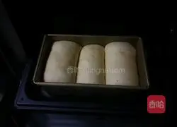 Illustration of how to make sweet bean and meat floss toast 11