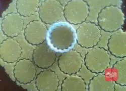 Sesame glass biscuits recipe 8