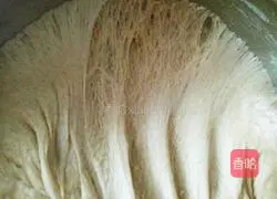 Rye Honey Toast Recipe Illustration 9