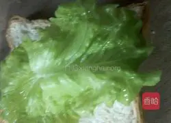 Toast sandwich recipe 4