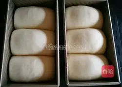 Illustration of how to make black currant milk toast 12