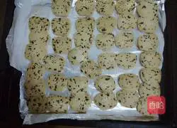 Cranberry Cookie Recipe Illustration 20