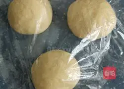 Brillo Toast Recipe Illustration 8