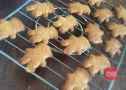 Illustration of how to make bear biscuits 10