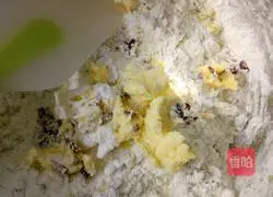 Illustration of how to make dried cranberries 4