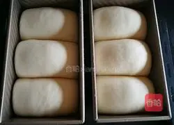 Cranberry milk toast recipe 13