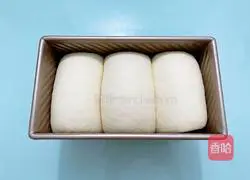 Milk white soft toast recipe 12