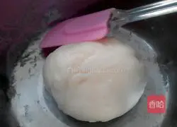 Snow-skin mooncakes Illustration of how to do it 1